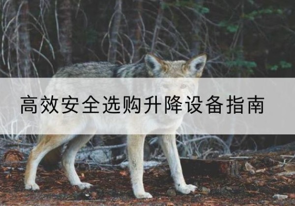 中卫升降货梯厂家推荐-*安全选购升降设备指南