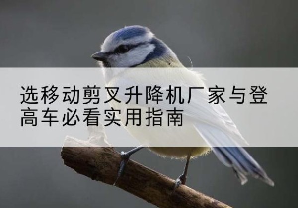 中卫电动升降机厂家-选移动剪叉升降机厂家与登高车必看实用指南