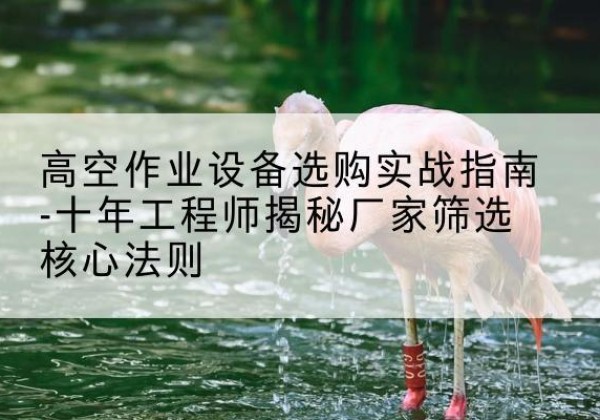 中卫剪叉式升降机厂家-高空作业设备选购实战指南-十年工程师揭秘厂家筛选核心法则
